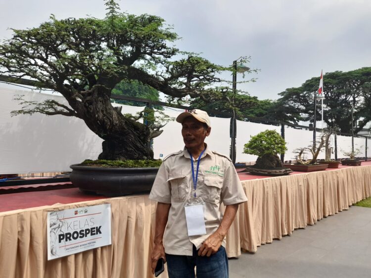 Cerita Petani asal Bogor Raih Kesuksesan dari Hobi Menanam Bonsai