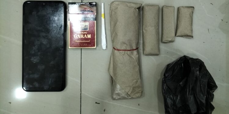 Kegep Bawa Ganja 1,5 Kg! 3 Pemuda di Bogor Dicomot Polisi