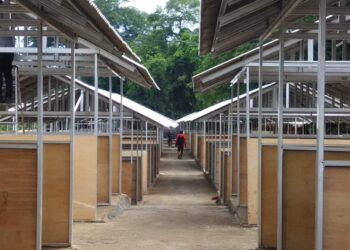 Perumda PPJ Siapkan TPS Pedagang Jambu Dua