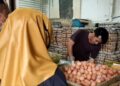 Harga Telur Ayam di Bogor Tembus Rp32.000 Perkg, Pedagang Sebut Ini  Penyebabnya