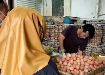 Harga Telur Ayam di Bogor Tembus Rp32.000 Perkg, Pedagang Sebut Ini  Penyebabnya