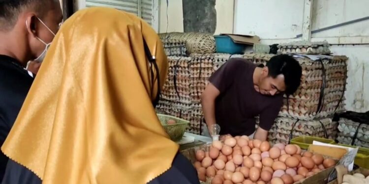 Harga Telur Ayam di Bogor Tembus Rp32.000 Perkg, Pedagang Sebut Ini Penyebabnya