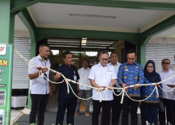 Resmikan Pasar Rakyat Tanah Baru, Ini Pesan Mendag Zulkifli Hasan
