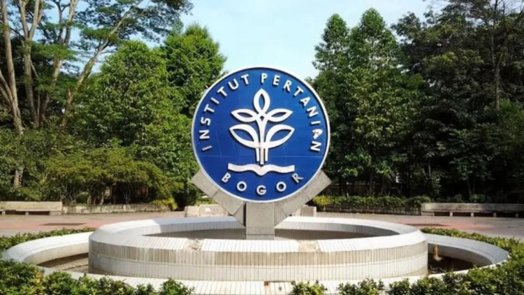Mahasiswa IPB Hilang saat Ekspedisi di Pulau Sempu Malang