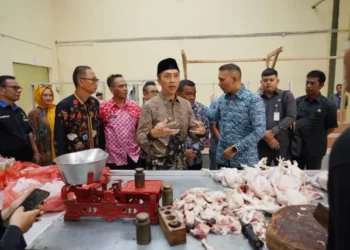 Dedie Rachim Cek Operasional Pasar Pamoyanan