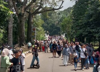 Libur Lebaran, Kebun Raya Bogor di Padati Pengunjung