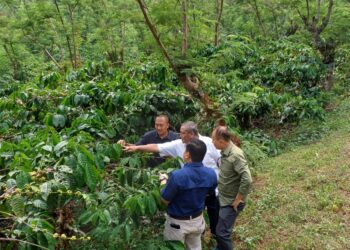 Asdep Pengembangan Agribisnis Perkebunan Lakukan Kunjungan Lapangan ke Kampoeng Kopi Banaran