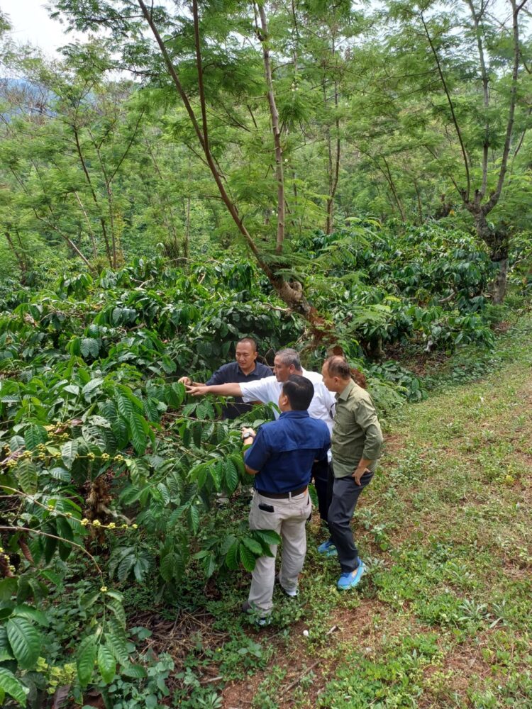 Asdep Pengembangan Agribisnis Perkebunan Lakukan Kunjungan Lapangan ke Kampoeng Kopi Banaran