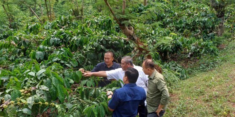 Asdep Pengembangan Agribisnis Perkebunan Lakukan Kunjungan Lapangan ke Kampoeng Kopi Banaran