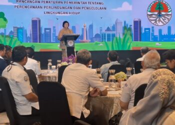 RPP PPPLH di Targetkan Selesai Bulan Juni Hingga Juli, Siti Nurbaya Tekankan Pentingnya Kontribusi Semua Pihak