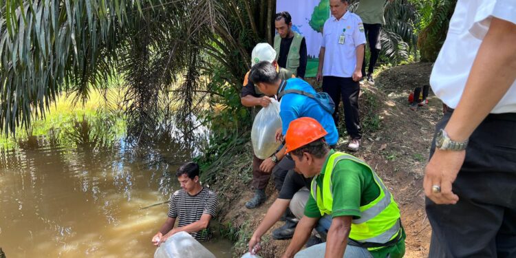 PTPN IV Regional 4, Berikan Bantuan Benih Ikan ke Masyarakat Sekitar Wilayah Kerja