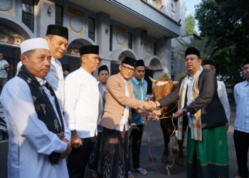 Hery Antasari Serahkan Sapi Kurban Pemkot Bogor