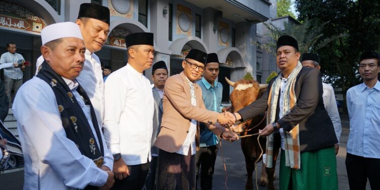 Hery Antasari Serahkan Sapi Kurban Pemkot Bogor