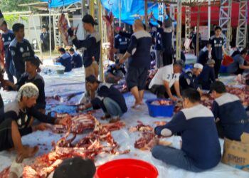 Idul Adha Bersama Masjid Al-Madinah Bagikan 2.000 Paket Daging Kurban