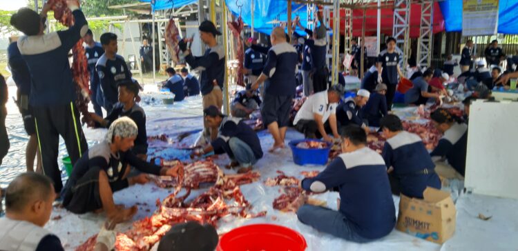 Idul Adha Bersama Masjid Al-Madinah Bagikan 2.000 Paket Daging Kurban