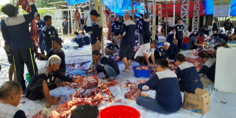 Idul Adha Bersama Masjid Al-Madinah Bagikan 2.000 Paket Daging Kurban