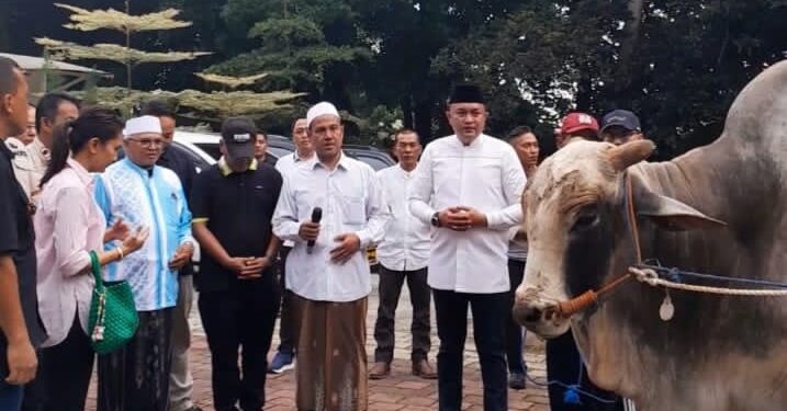 Ketua DPRD Bogor Bagikan 48 Sapi Kurban dari Prabowo 