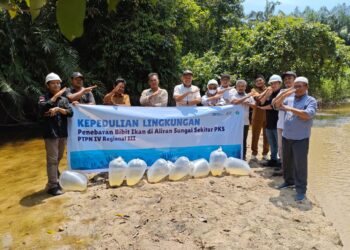 PTPN IV Regional III Tebar 60.000 Bibit Ikan Endemi Sungai Riau