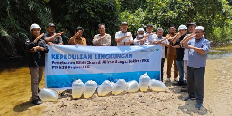 PTPN IV Regional III Tebar 60.000 Bibit Ikan Endemi Sungai Riau