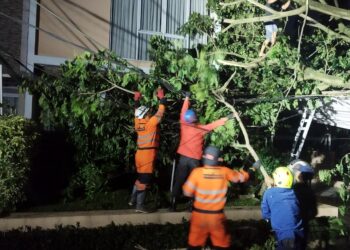 Awal Tahun 2025! BPBD Catat 78 Bencana Terjadi di Kota Bogor: 252 Jiwa Terdampak, 57 Orang Mengungsi
