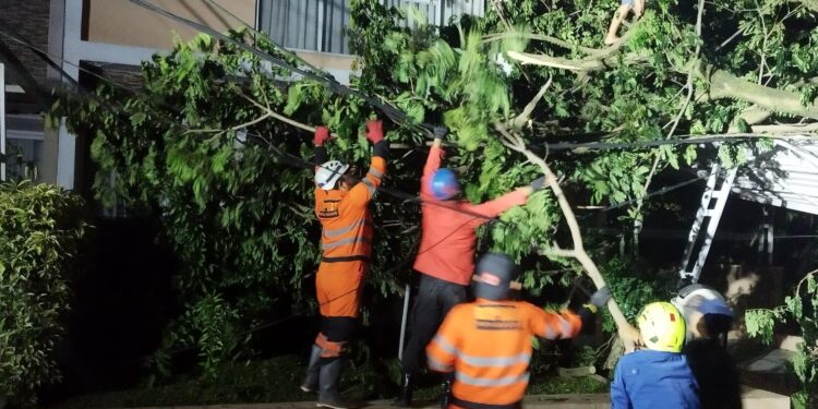 Awal Tahun 2025! BPBD Catat 78 Bencana Terjadi di Kota Bogor: 252 Jiwa Terdampak, 57 Orang Mengungsi