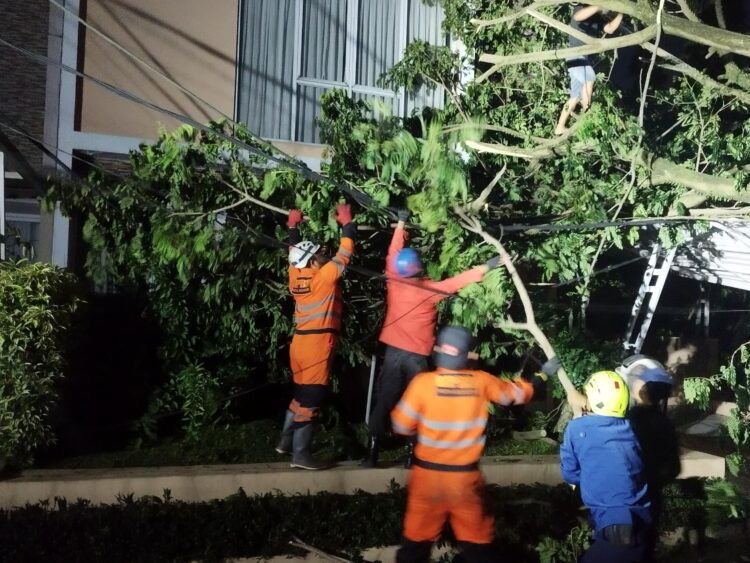 Awal Tahun 2025! BPBD Catat 78 Bencana Terjadi di Kota Bogor: 252 Jiwa Terdampak, 57 Orang Mengungsi
