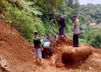 BPBD Catat 19 Bencana Terjadi di Kota Bogor Akibat Hujan Deras Kemarin, Didominasi Tanah Longsor hingga Tembok Ambruk