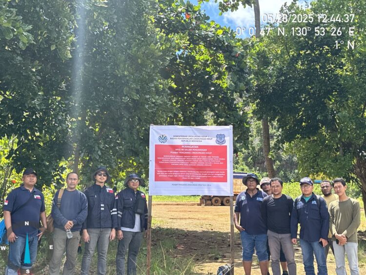 Kementerian KLH Turunkan Tim ke Raja Ampat, Diduga Alami Perusakan Lingkungan Perusahaan Tambang Nikel