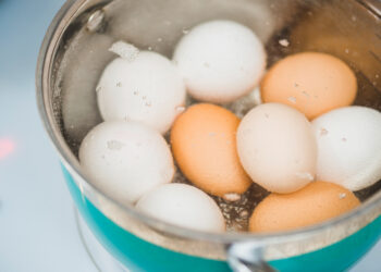 Dosen IPB University Ungkap Penyebab Telur Rebus Sulit Dikupas, Begini Penjelasan Ilmiahnya