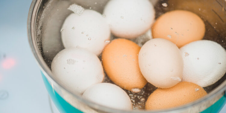 Dosen IPB University Ungkap Penyebab Telur Rebus Sulit Dikupas, Begini Penjelasan Ilmiahnya