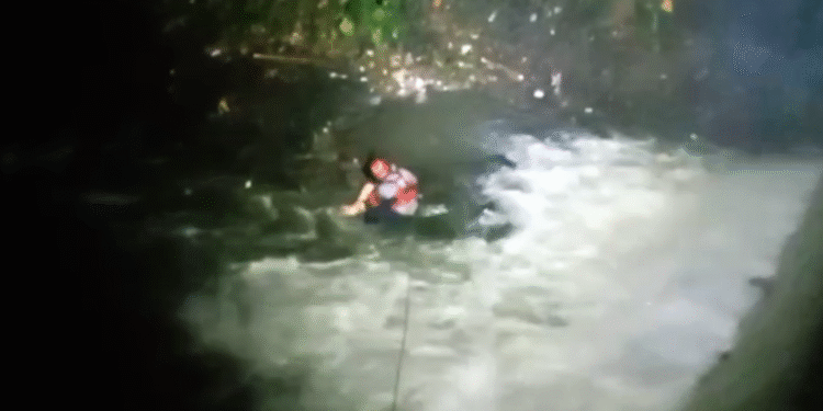 Percobaan Bunuh Diri Gagal, Pria di Bogor Lompat dari Jembatan Setinggi 20 Meter