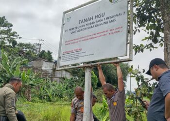 Sempat Dikuasai Mafia Tanah, PTPN Kembali Akuisisi Lahan di Puncak Bogor