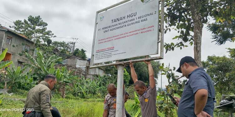 Sempat Dikuasai Mafia Tanah, PTPN Kembali Akuisisi Lahan di Puncak Bogor