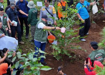 4 Bulan, Rudy Susmanto Realisasikan 156,44 Hektare Hutan Kota dengan 45.152 Pohon Tertanam di Bogor