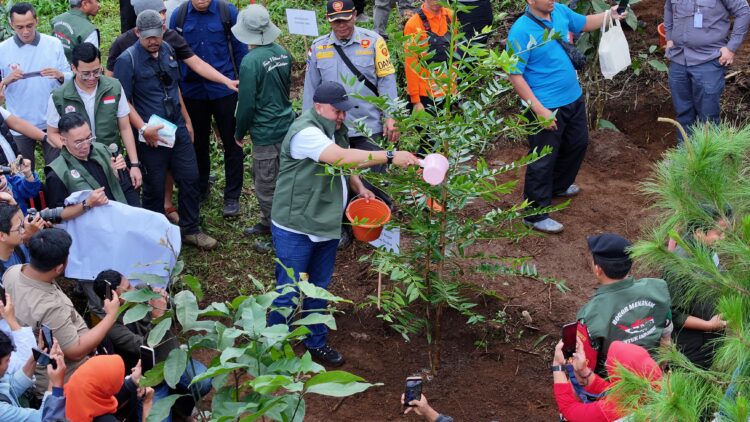4 Bulan, Rudy Susmanto Realisasikan 156,44 Hektare Hutan Kota dengan 45.152 Pohon Tertanam di Bogor