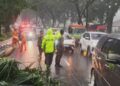 Tragis! Pemotor Tewas Tertimpa Pohon Palem di Jalan Tegar Beriman Cibinong