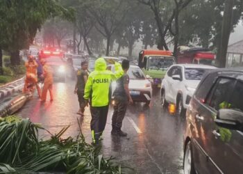 Tragis! Pemotor Tewas Tertimpa Pohon Palem di Jalan Tegar Beriman Cibinong