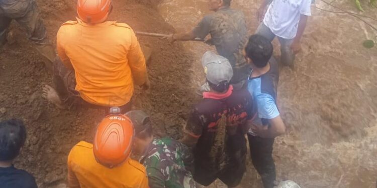 Niat Tebang Bambu, Kakek di Dramaga Bogor Tertimbun Longsor, BPBD: Masih Dalam Pencarian