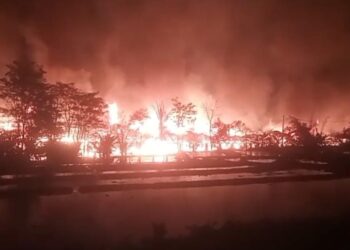 Kebakaran Hebat Hanguskan Kandang Ayam di Bogor, Api Diduga Berasal dari Korsleting