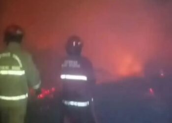 60 Ribu Ayam Mati Terpanggang dalam Kebakaran Peternakan di Bogor, Kerugian Capai Rp6,5 Miliar