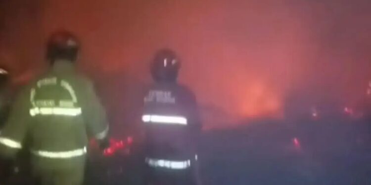 60 Ribu Ayam Mati Terpanggang dalam Kebakaran Peternakan di Bogor, Kerugian Capai Rp6,5 Miliar