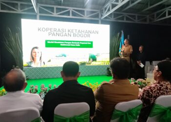 DKPP Luncurkan Koperasi Ketahanan Pangan di Bogor, Upaya Jaga Stabilitas Harga di Pasar Lokal