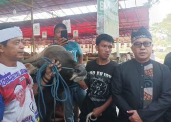 Pemkot Bogor Dirikan Pos Pemeriksaan Hewan Kurban di Sejumlah Perbatasan