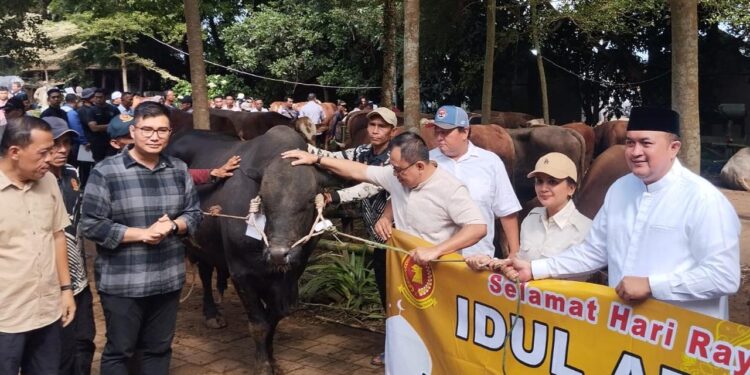 Prabowo Kurban Sapi Limosin 1,2 Ton untuk Warga Bogor, Total Ada 108 Ekor