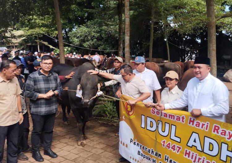Prabowo Kurban Sapi Limosin 1,2 Ton untuk Warga Bogor, Total Ada 108 Ekor