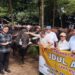 Prabowo Kurban Sapi Limosin 1,2 Ton untuk Warga Bogor, Total Ada 108 Ekor
