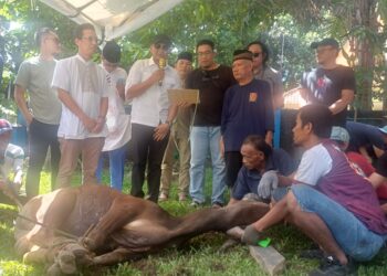 Momen Bersejarah! PWI Kota Bogor Perdana Potong Sapi Kurban, JM: Idul Adha jadi Simbol Kolaborasi