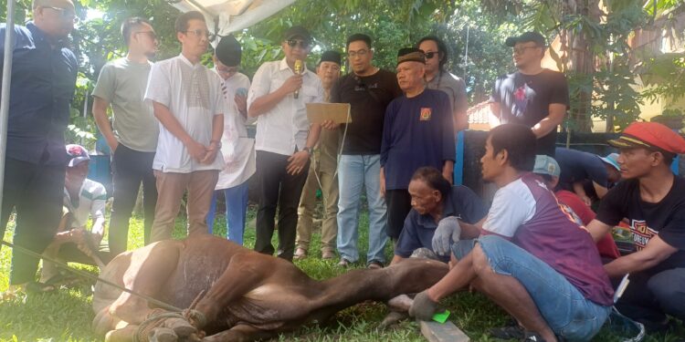 Momen Bersejarah! PWI Kota Bogor Perdana Potong Sapi Kurban, JM: Idul Adha jadi Simbol Kolaborasi