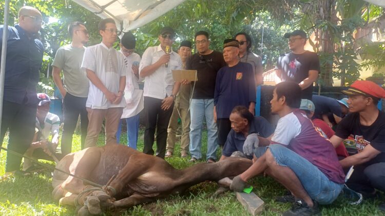 Momen Bersejarah! PWI Kota Bogor Perdana Potong Sapi Kurban, JM: Idul Adha jadi Simbol Kolaborasi