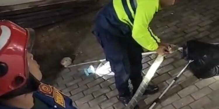 Warga Bogor Digegerkan Kemunculan King Kobra Sepanjang 4 Meter di Rumahnya